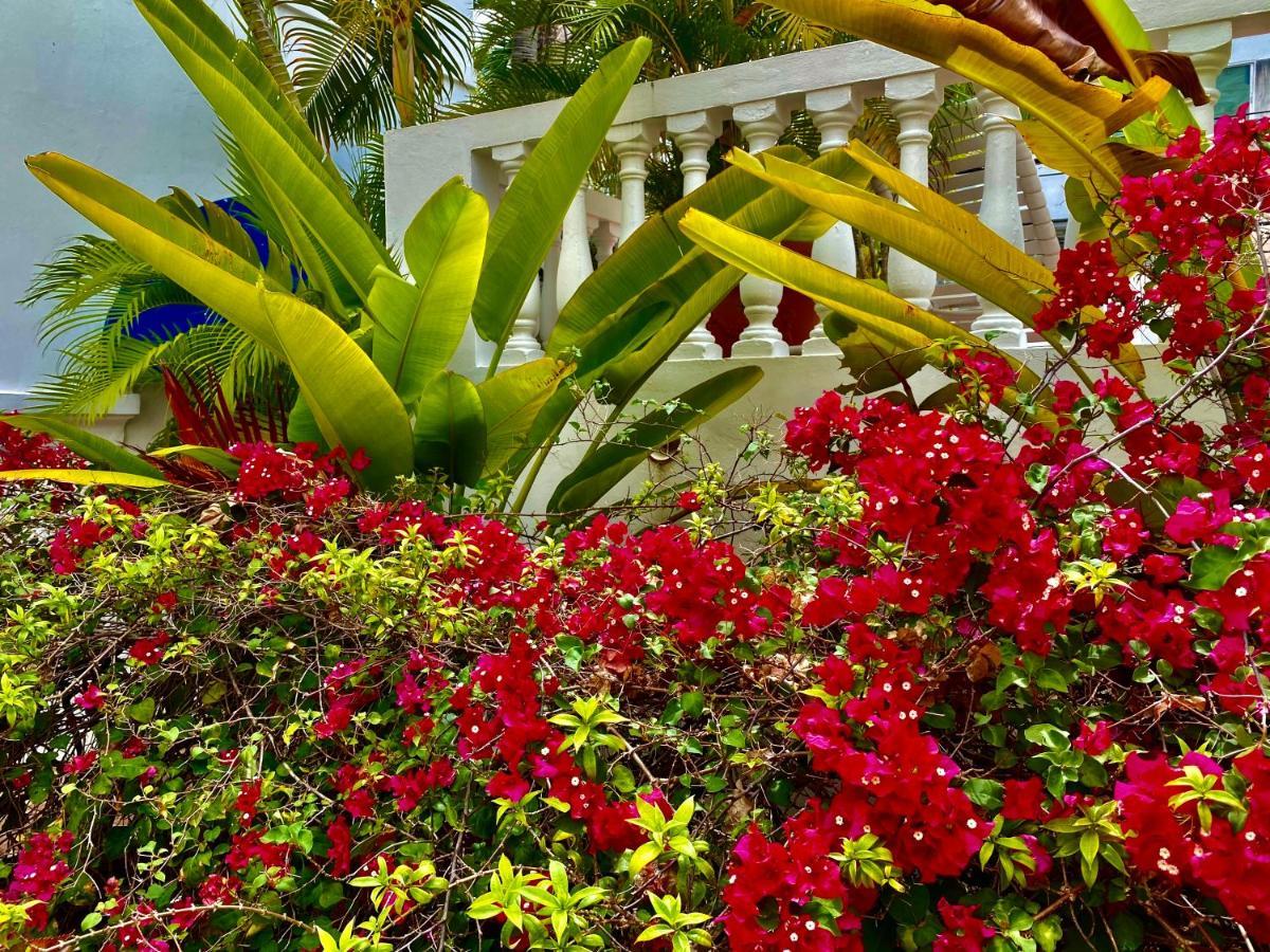 At Wind Chimes Boutique Hotel San Juan Exterior foto